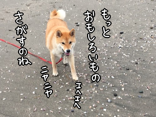 pkmoutw4