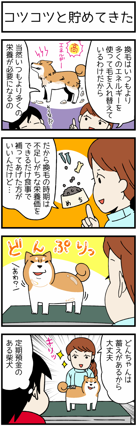 20170424たくわえ1