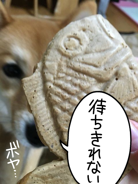 2zpcqep0