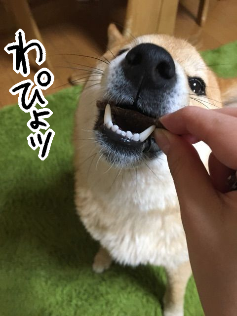 prcvykyv