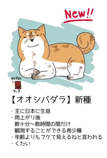 採集mini