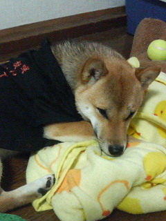 んが?