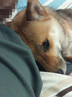 いーでしょー