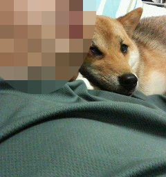 うふ
