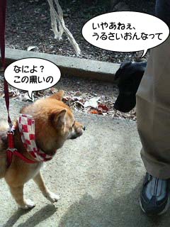 牽制しあう