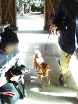 えせ2ショット