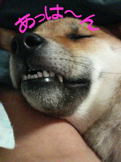 うっふんあっはん