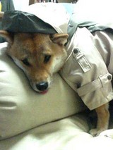 もういや