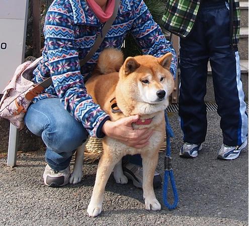 2012正月のカン5