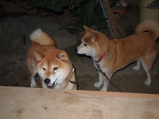 カンとはな3