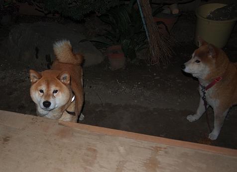 カンとはな1