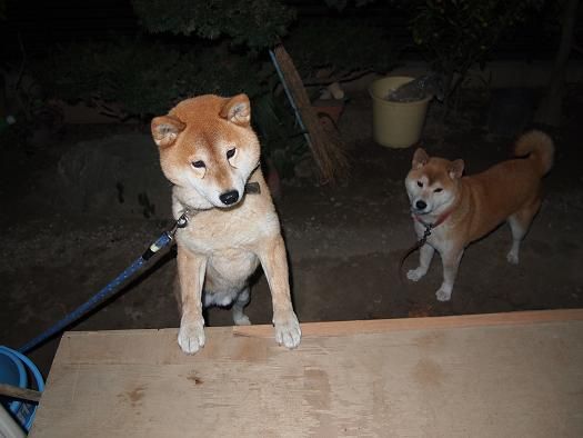 カンとはな2