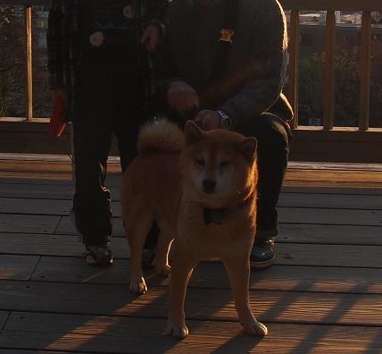 2011年末夕暮れのカン
