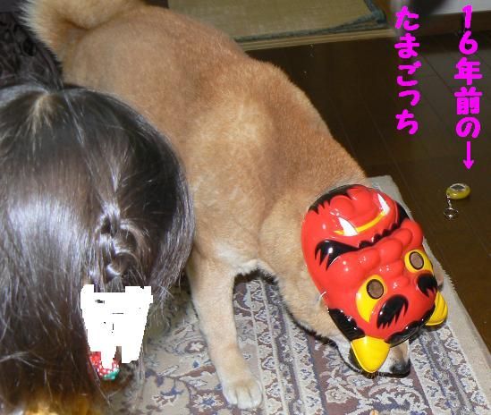 節分のカン