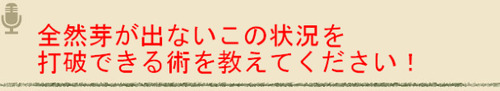 BlogPaint