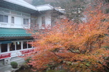 ホテル庭