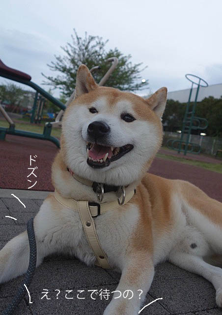 30日ブログ3
