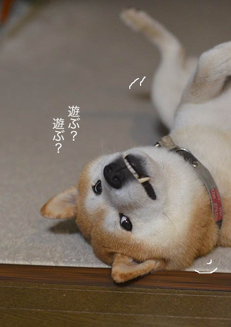 11日ブログ3
