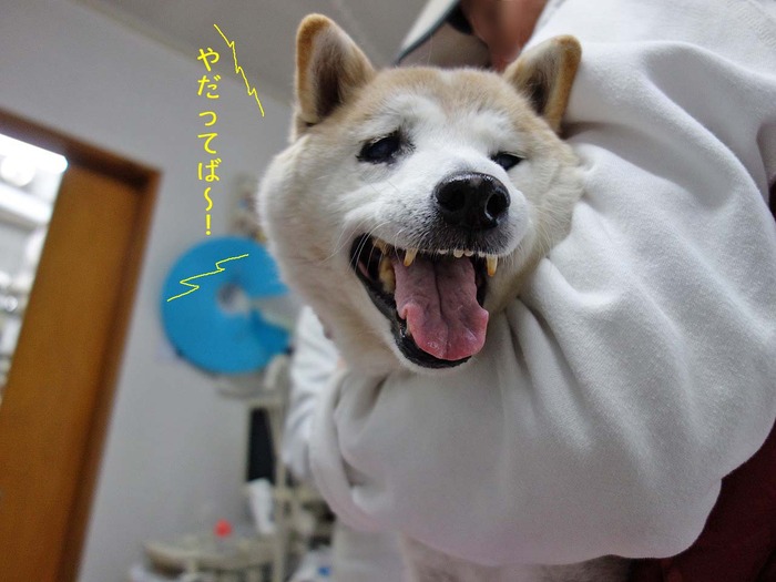 22日ブログ3