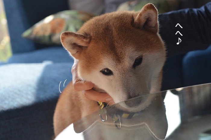 2日午後ブログ6