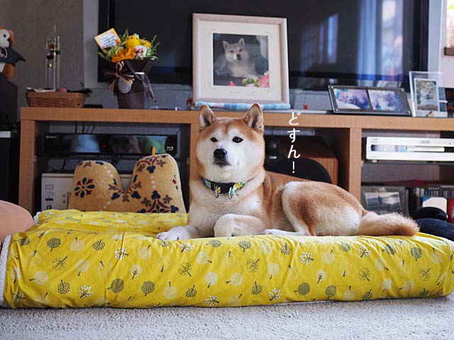 11日ブログ2
