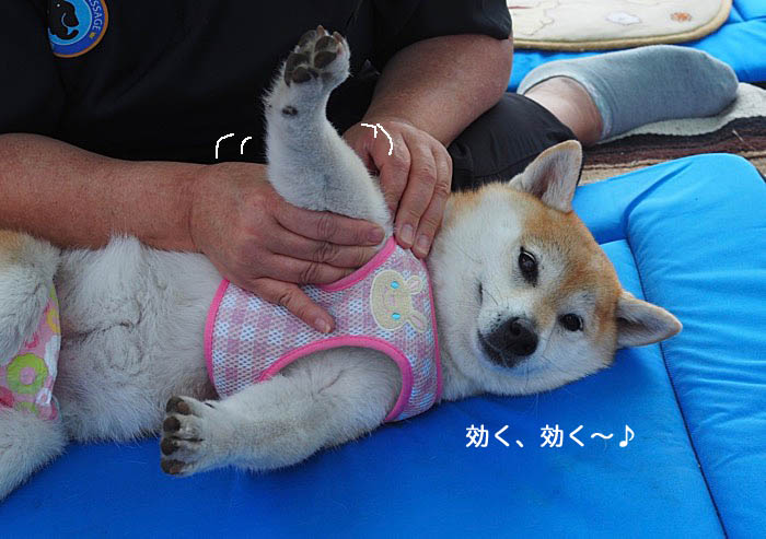 7日ブログ４