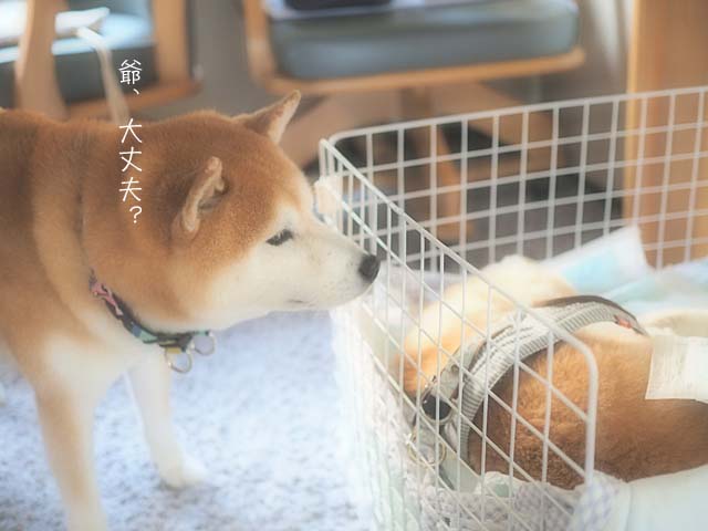 17日ブログ5