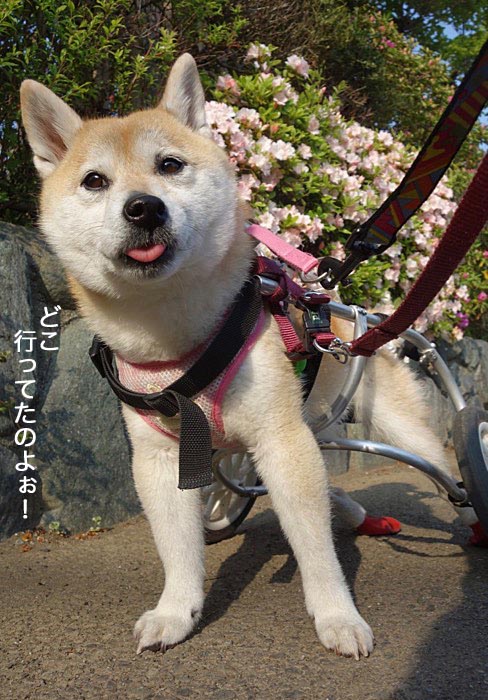 7日ブログ２