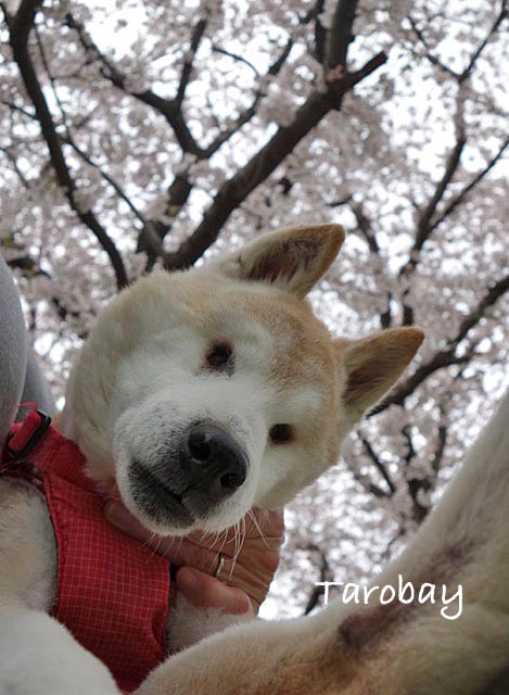 18日ブログ4