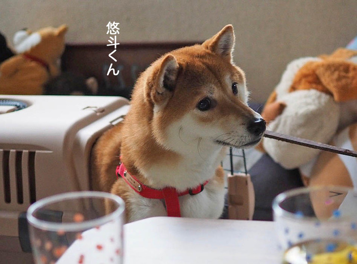 23日午後ブログ4