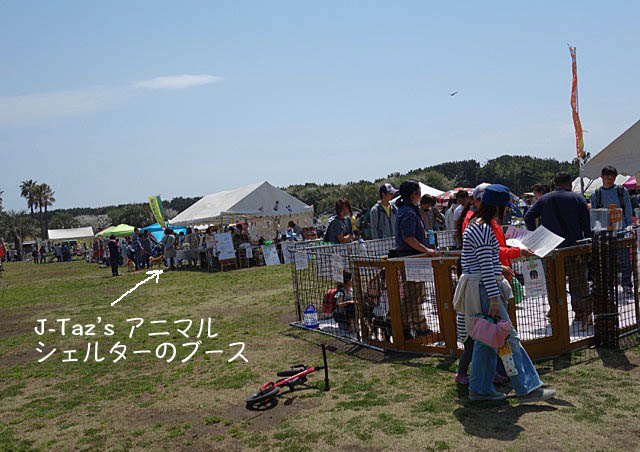 15日ブログ2