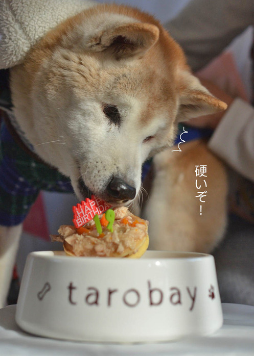 1日ブログ7