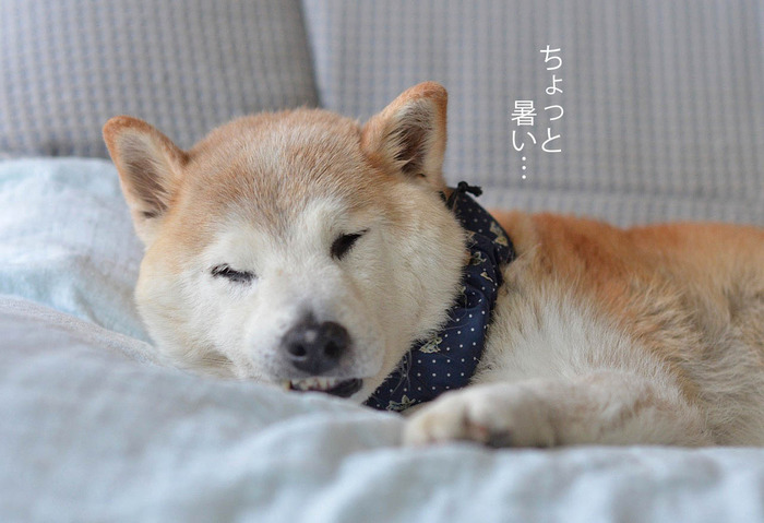 28日ブログ2