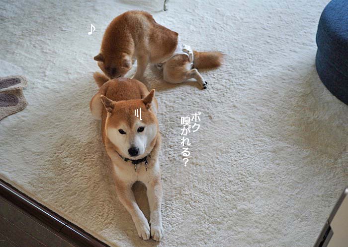 28日ブログ３