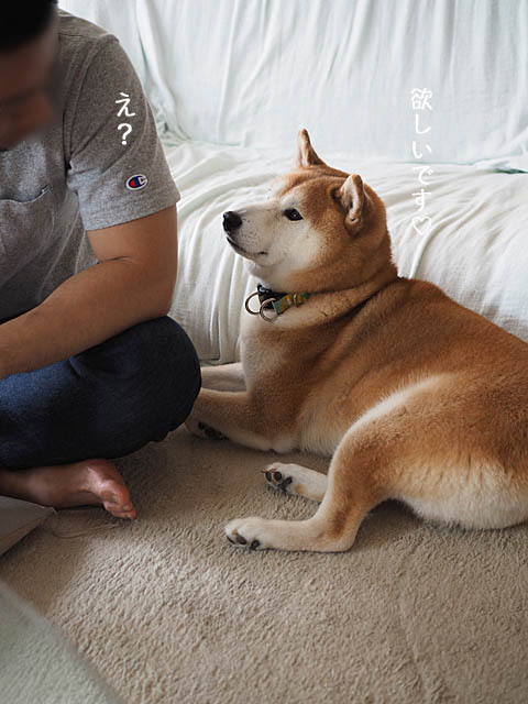26日夜ブログ13