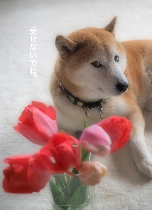 31日ブログ５