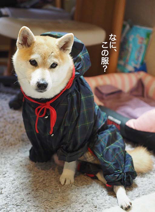 1日ブログ２