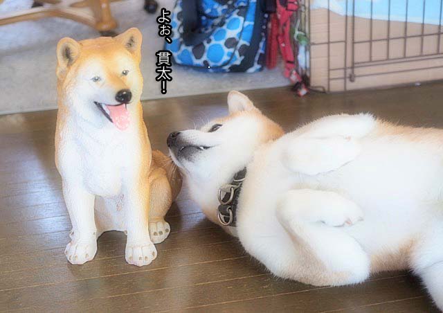 4日ブログ5
