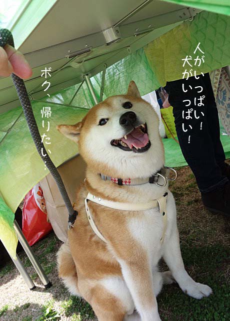 15日ブログ6
