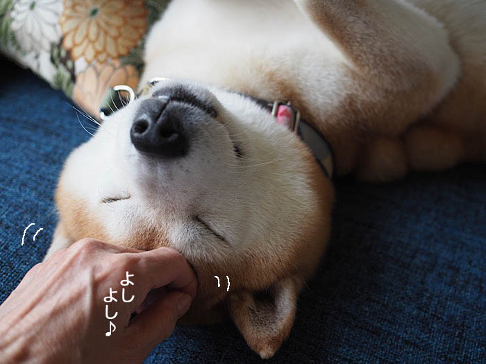 10日ブログ９