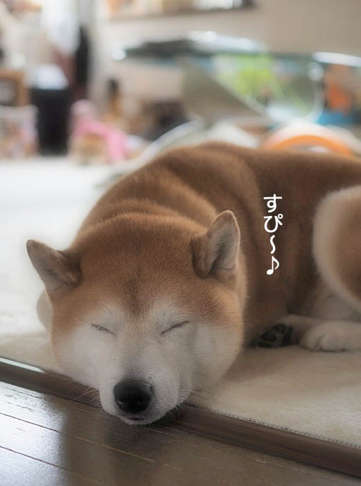 29日ブログ６