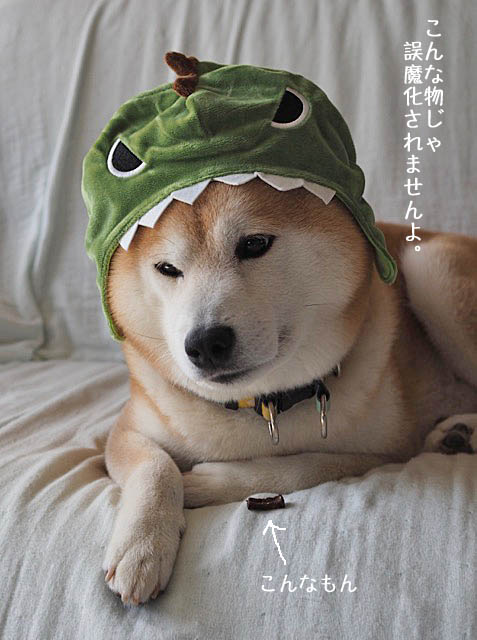 11日ブログ8