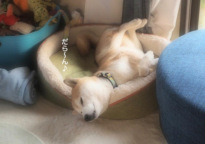 8日ブログ2