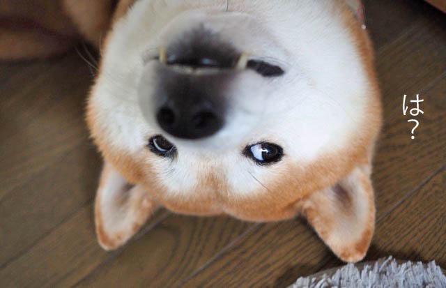 4日ブログ3