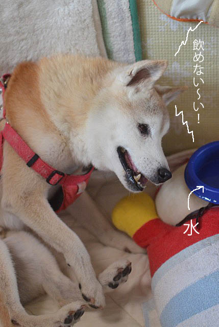 27日ブログ7