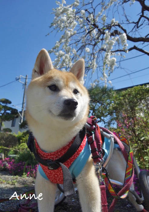 22日午後ブログ３