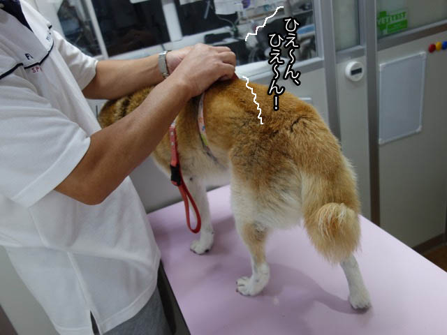 2日ブログ2