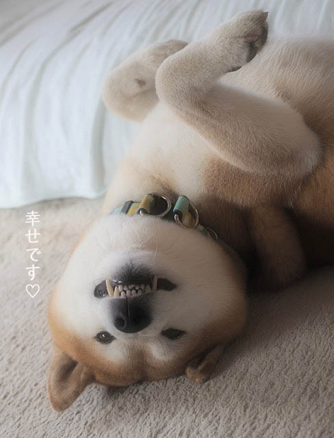 7日ブログ3