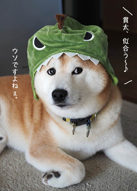 11日ブログ4
