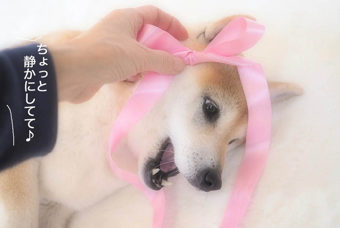 14日ブログ11